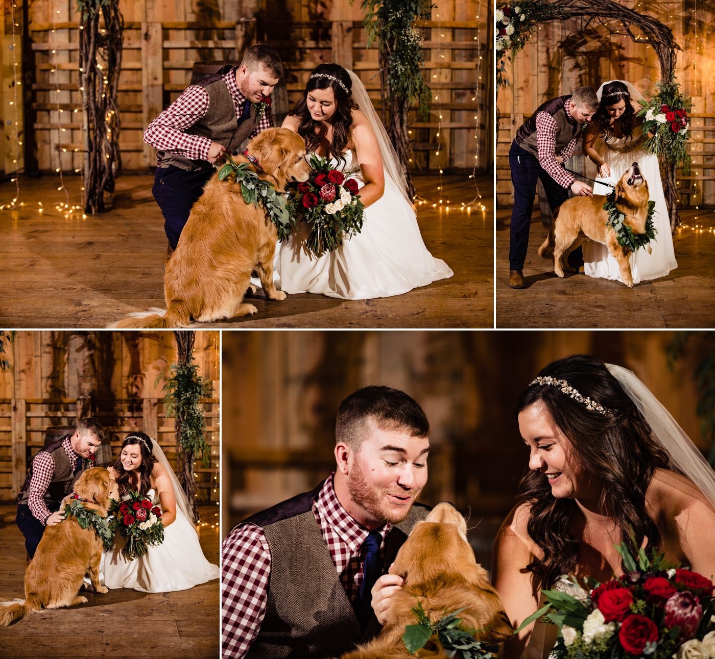 Wedding at Jorgensen Farms - bride and groom with dog