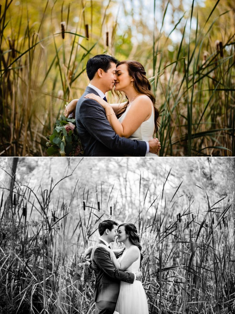 bride and groom snuggling in front of cattails before their wedding at The Exchange at Bridge Park