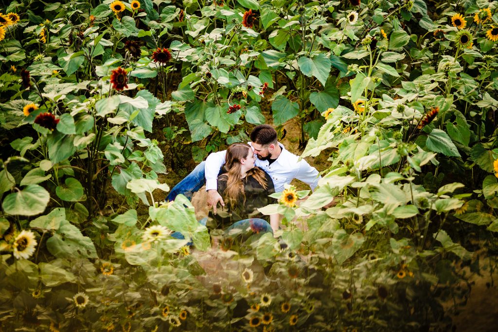a couple sits in the sunflowers during their sunflower engagement photos