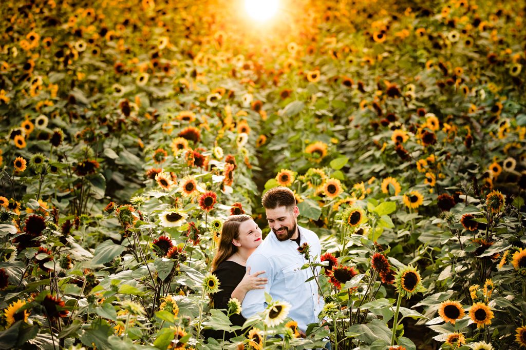 a beautiful sunset backlights a couple during their sunflower engagement photos