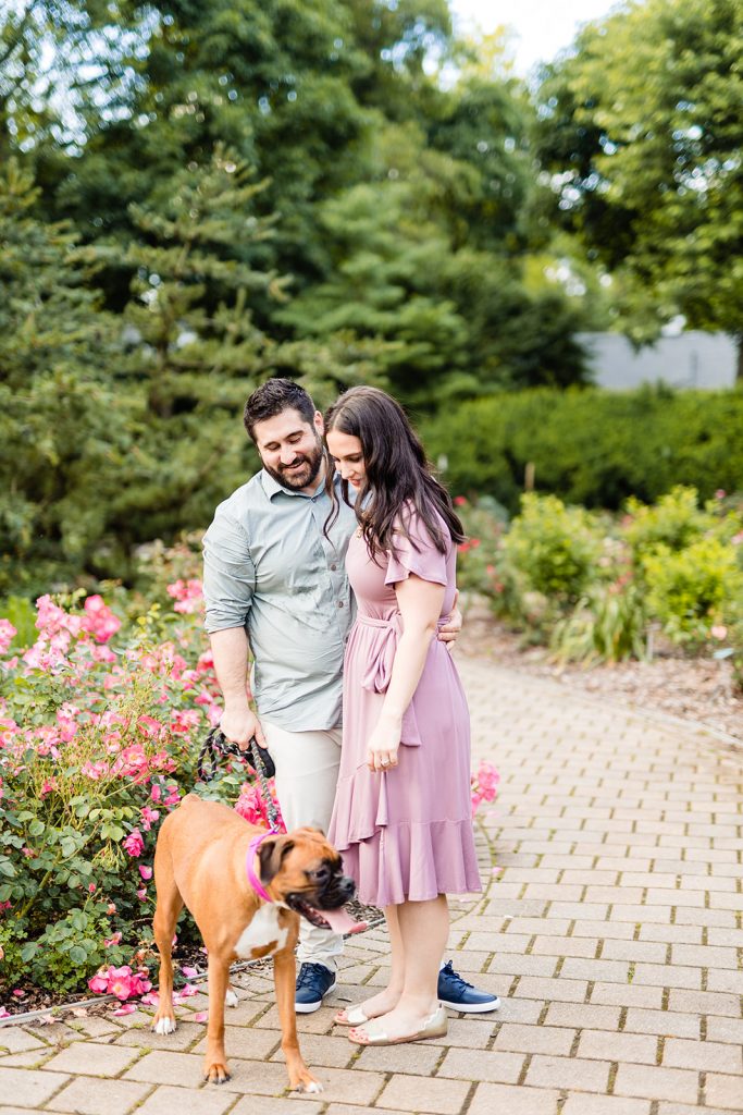 a couple walks their dog through the pathways during their engagement photos at Park of Roses