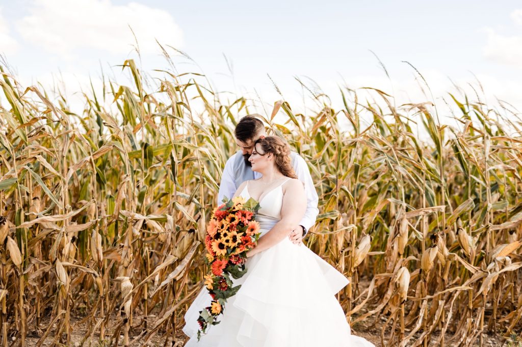 a bride and groom pose in front of a corn field at their Wren Farm wedding