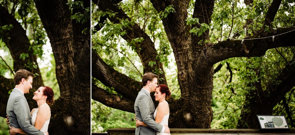 Scioto Audubon Wedding - bride and groom tree