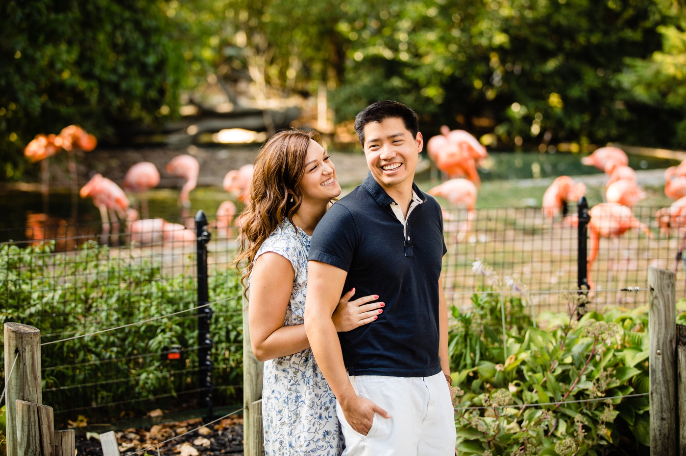 Engagement photos at the Columbus Zoo - couple with flamingoes