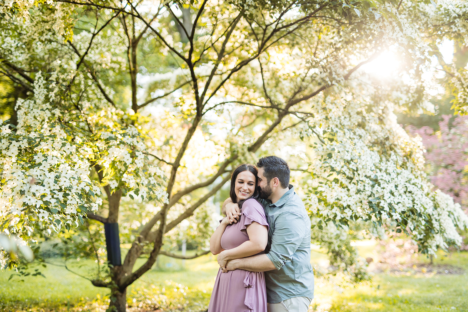 a couple cuddles beneath a blooming tree during their engagement photos at Park of Roses
