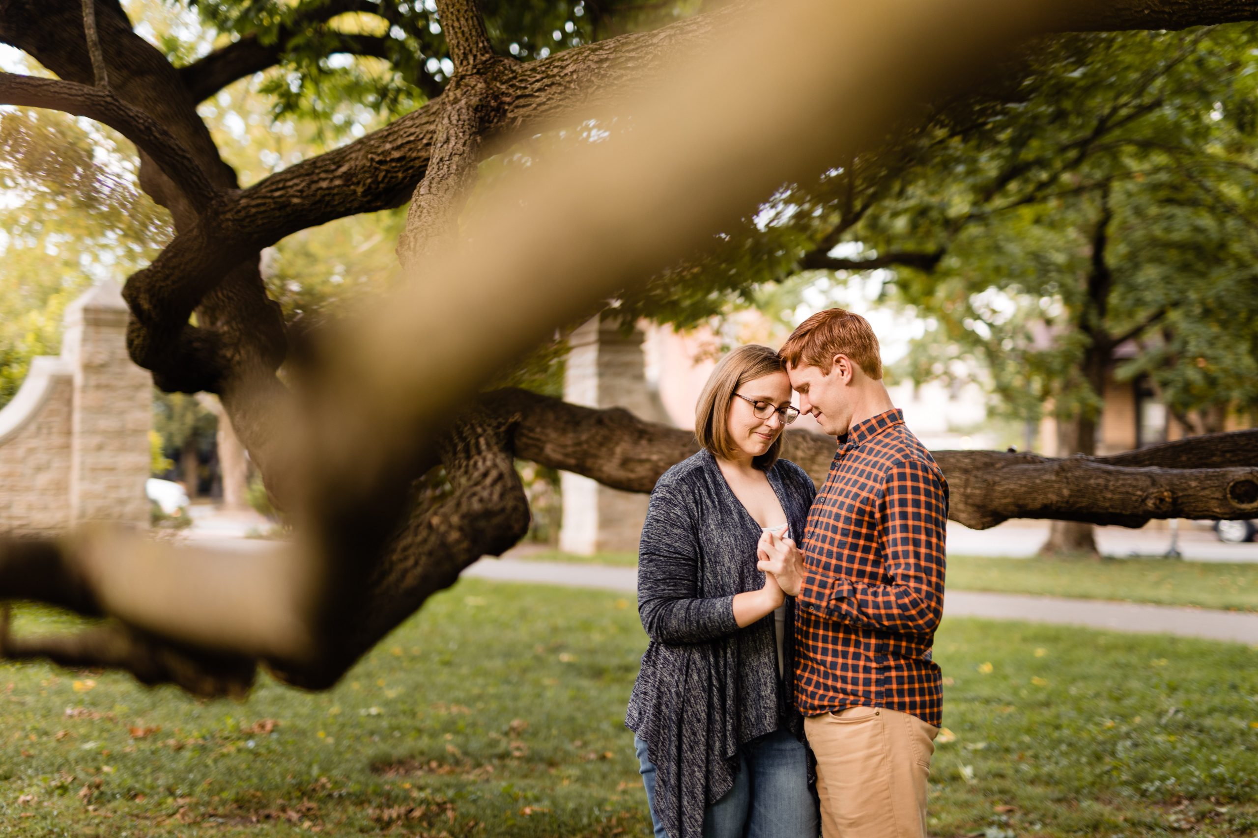 a couple hangs out under the giant weeping tree at Schiller Park during their German Village engagement photos